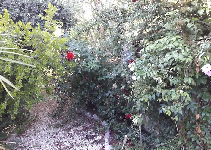 V.i.p * Στρουμπί